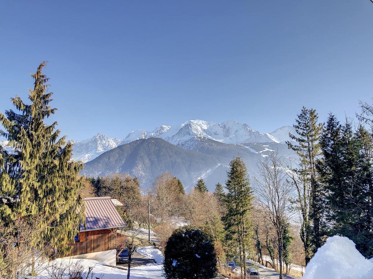 Ferienwohnung Mont Alt, F2 40M2 En Rdc, Calme, Vue Mt Blanc Passy  Exterior foto
